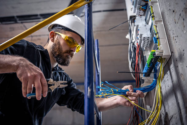 Best Electric Panel Repair  in Beecher, IL